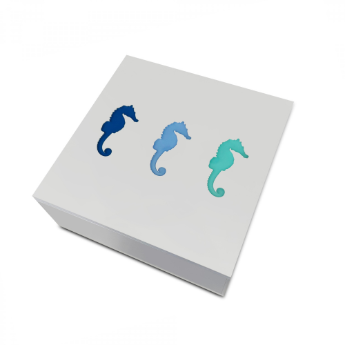 Κουτί πλεξιγκλάς λευκό με ιππόκαμπους 20 x 20 x 5cm, ac1705 ΔΩΡΑ Κοσμηματα - chrilia.gr