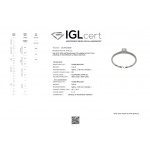 Μονόπετρο δαχτυλίδι Κ18 λευκόχρυσο με κεντρικό διαμάντι 0.11ct, SI1, F από το IGL da3489 ΔΑΧΤΥΛΙΔΙΑ ΑΡΡΑΒΩΝΑ Κοσμηματα - chrilia.gr