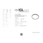 Half stone ring 18K white gold with diamonds 0.07ct, VS1/VS2, F/G  from IGL da3713 ENGAGEMENT RINGS Κοσμηματα - chrilia.gr