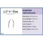 Πολύπετρα σκουλαρικια Κ14 λευκόχρυσο με διαμάντια 0.06ct, VS1, H, sk3938 ΣΚΟΥΛΑΡΙΚΙΑ Κοσμηματα - chrilia.gr