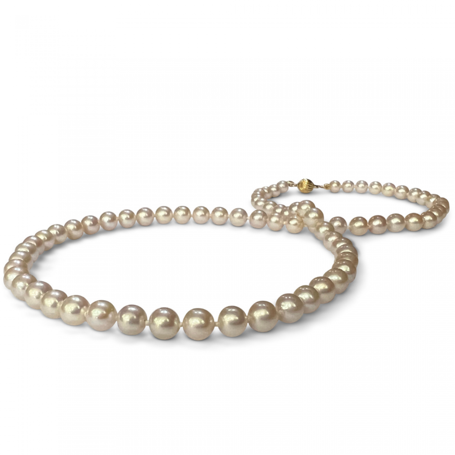 Necklace with white sea pearls Κ14, Akoya Japan, 5,50mm - 6,00mm ko4095 NECKLACES Κοσμηματα - chrilia.gr