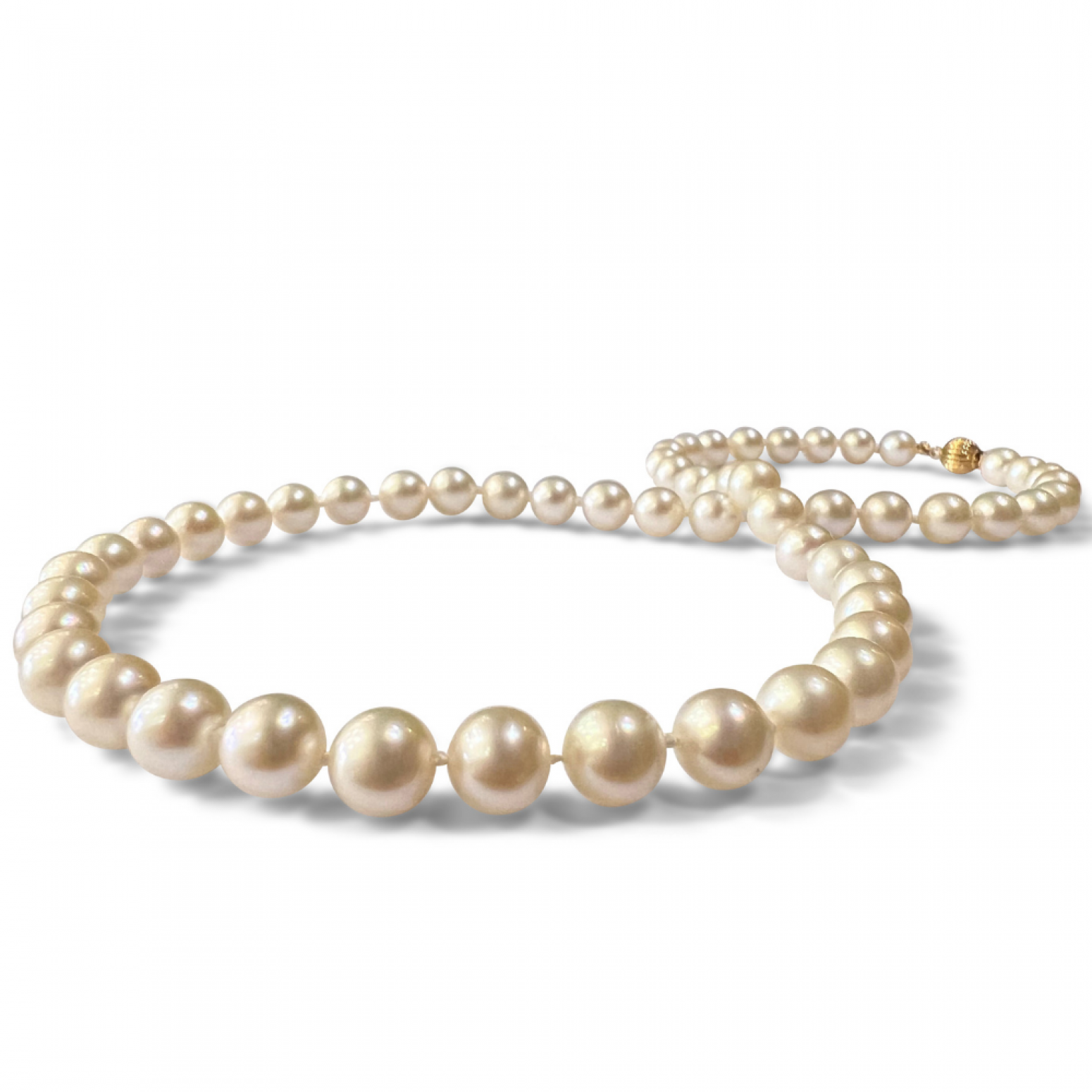 Necklace with white sea pearls Κ14, Akoya Japan, 7.00mm - 7.50mm ko4384 NECKLACES Κοσμηματα - chrilia.gr