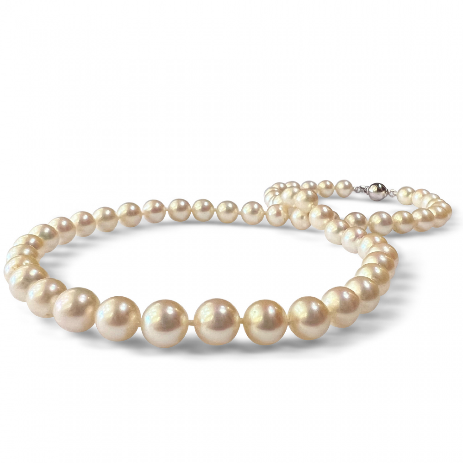 Necklace with white sea pearls Κ14, Akoya Japan, 7.50mm - 8.00mm ko5507 NECKLACES Κοσμηματα - chrilia.gr
