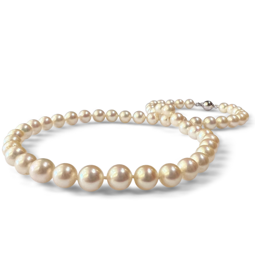 Necklace with white sea pearls Κ14, Akoya Japan, 7.50mm - 8.00mm ko5507